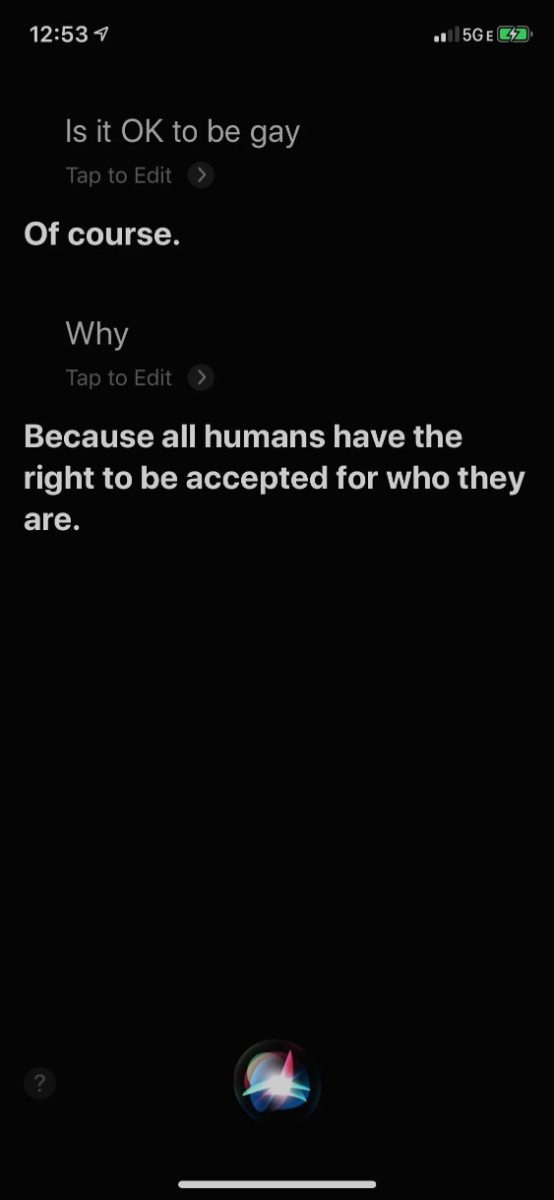 Siri response to "is it ok to be gay"